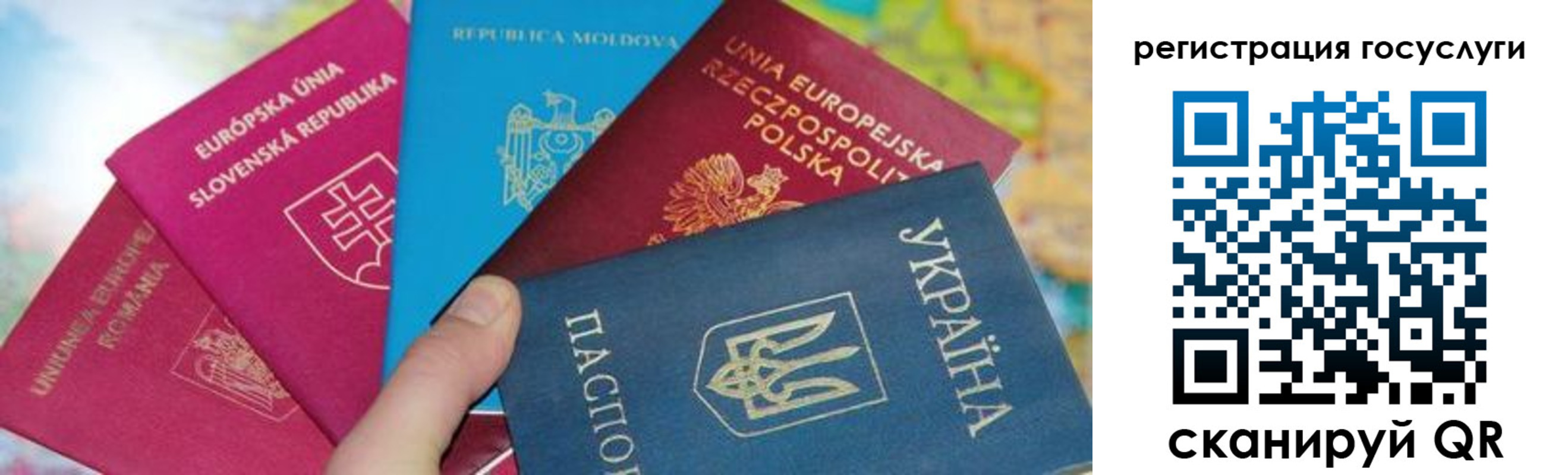 прописка гарантия в Волхове